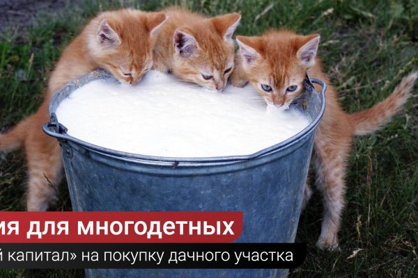 Регистрация на сайте кракен