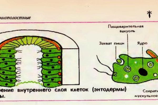 Кракен даркнет аккаунт